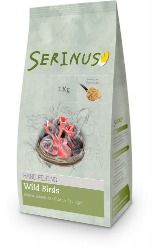 Bird hand feeding supplies outlet
